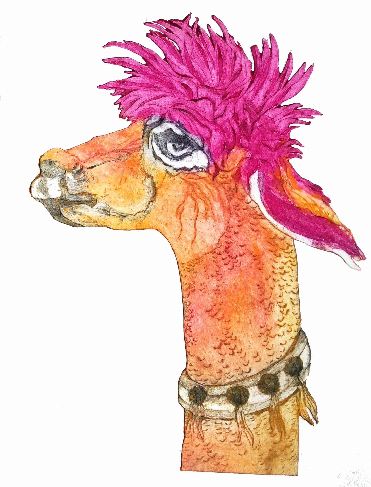 Punky Llama