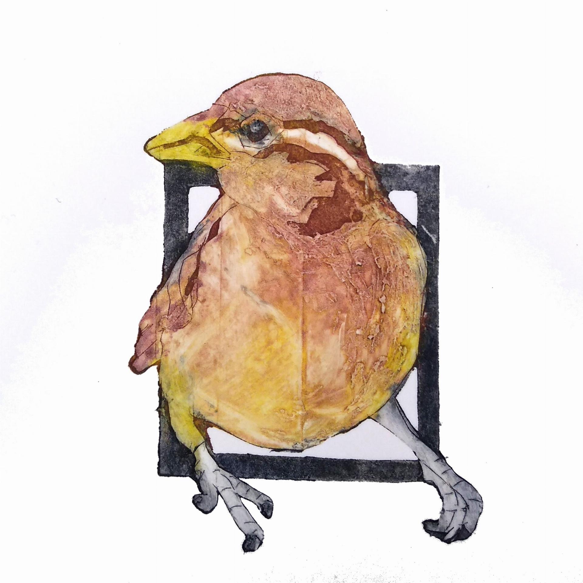 Curious Sparrow