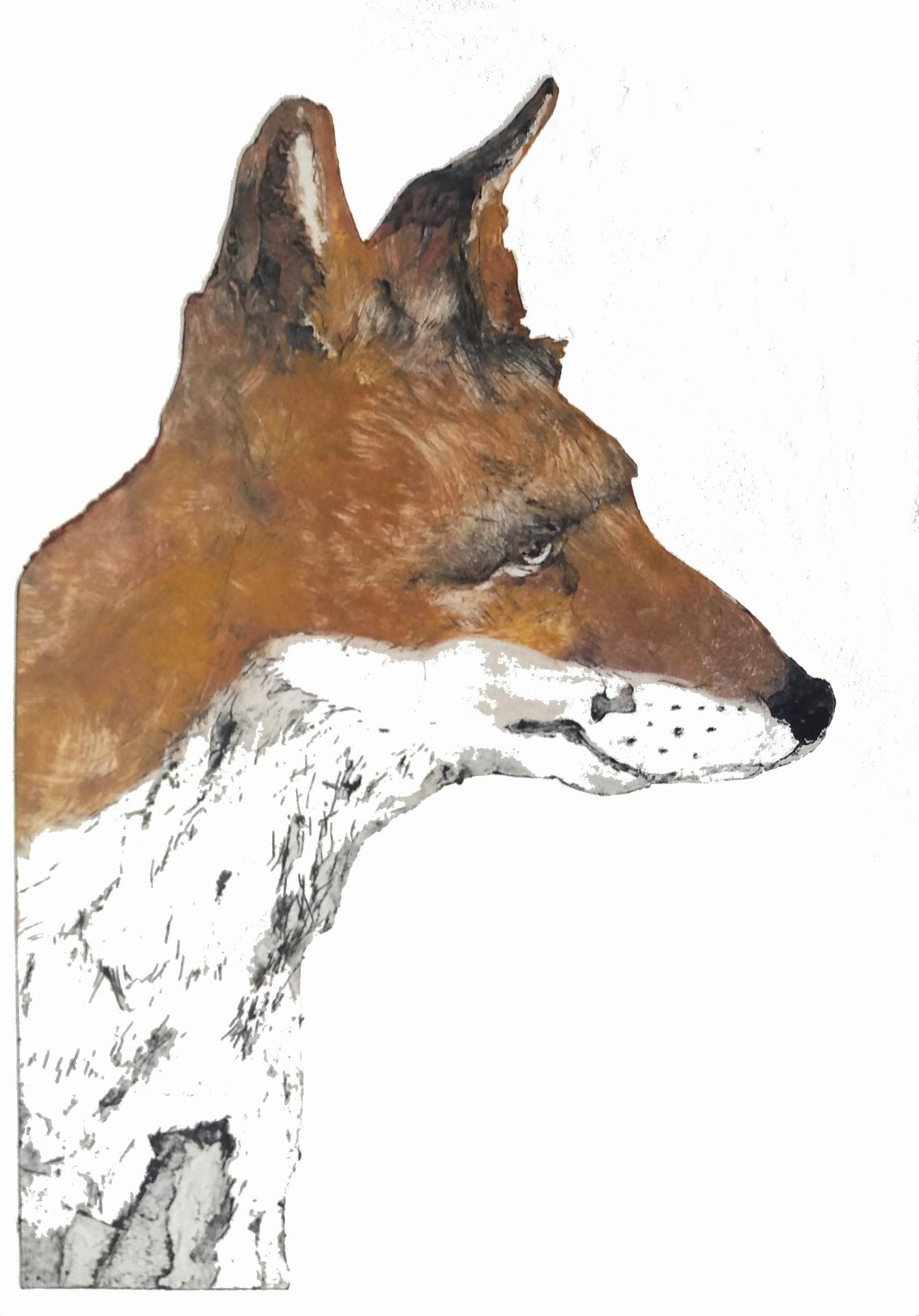 Mr Fox