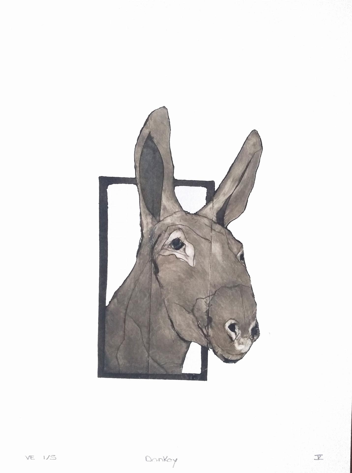 Donkey