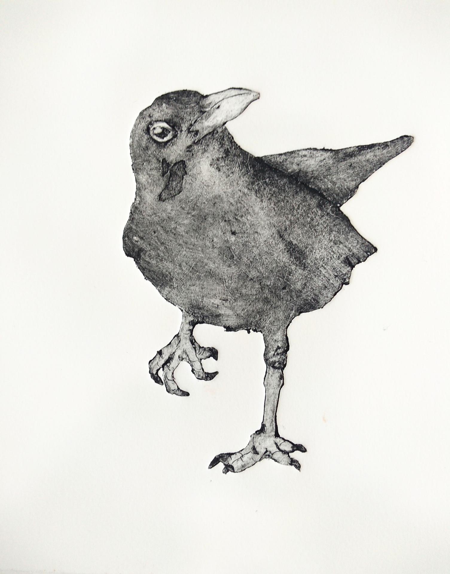 Blackbird